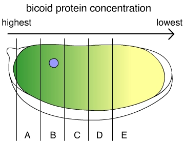 question 14