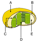 question #3