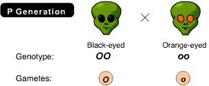 question #8