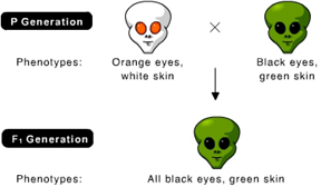 question #10