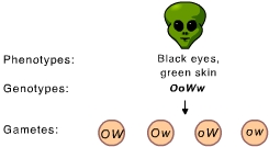 question #15